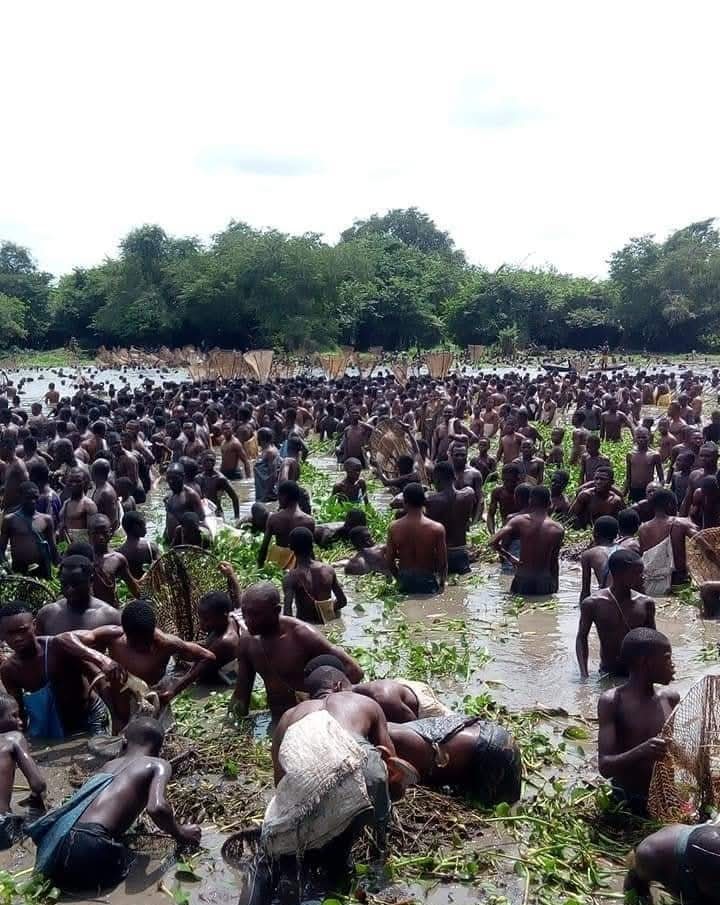 Unity in the lake